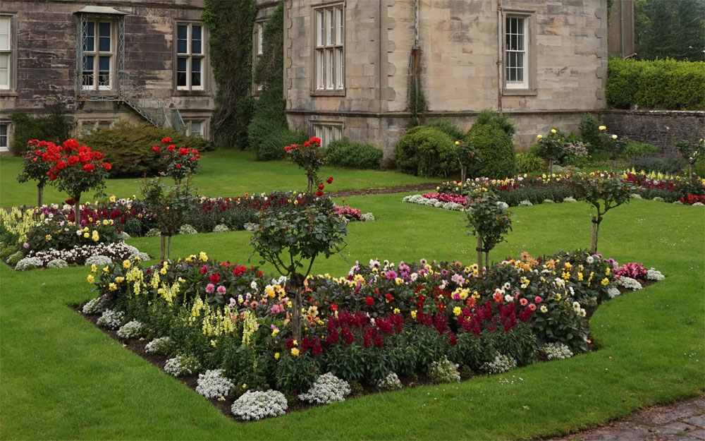 Roll-on lawn installation