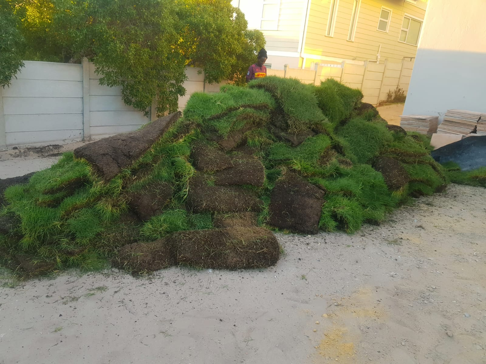 Roll-on lawn delivery
