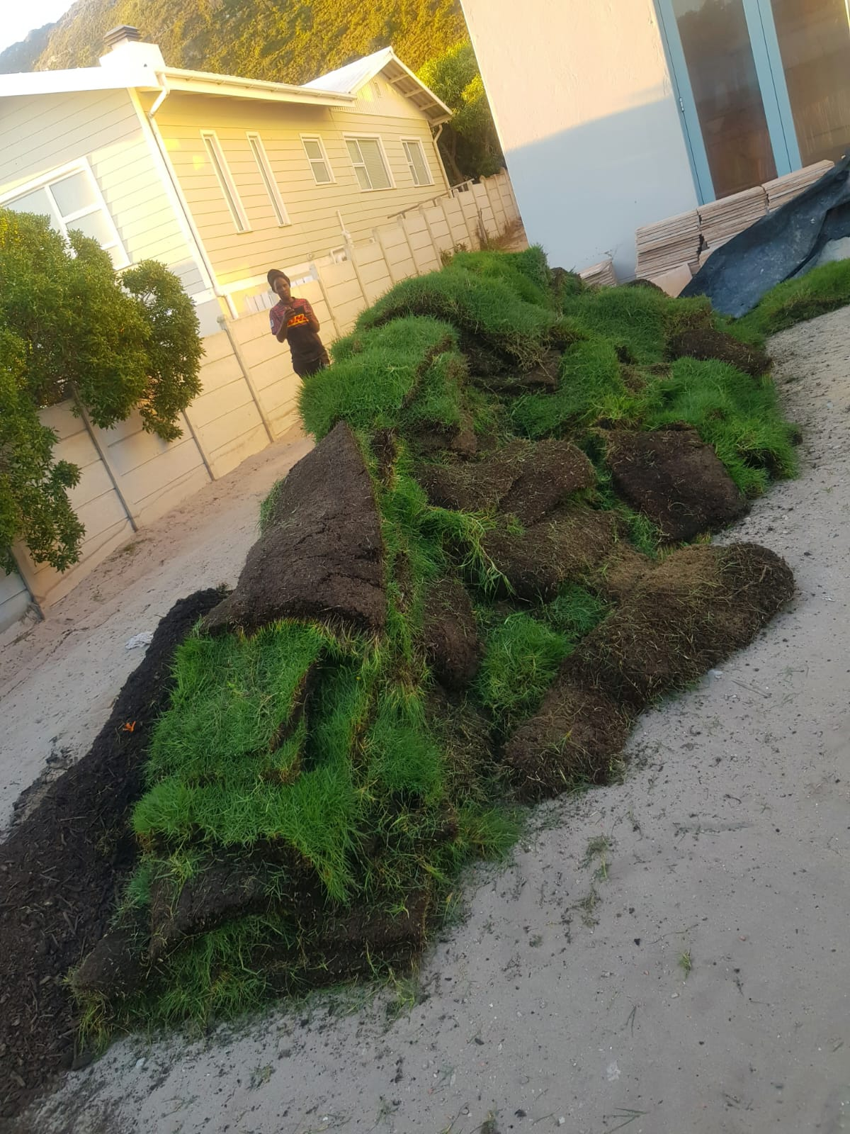 Stacked sod rolls ready for installation